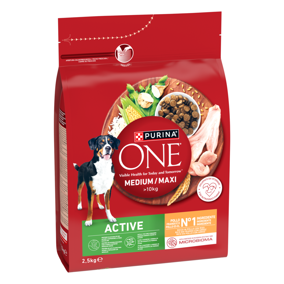 Purina ONE MEDIUM/MAXI Active 2,5kg Pollo e Riso