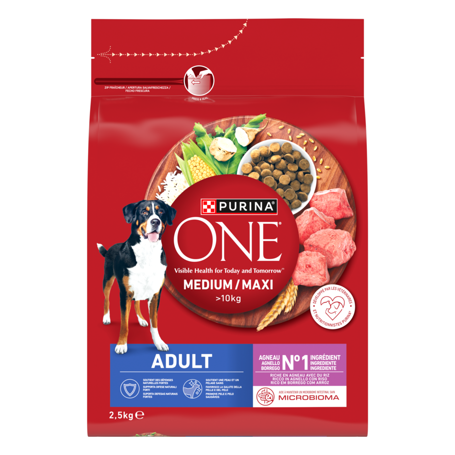 Purina ONE MEDIUM/MAXI Adult 2,5kg Agnello