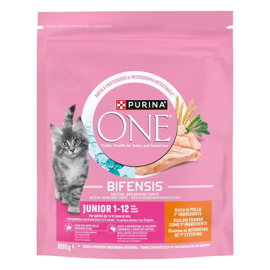 Purina ONE Bifensis Junior 800g Pollo e Cereali Integrali