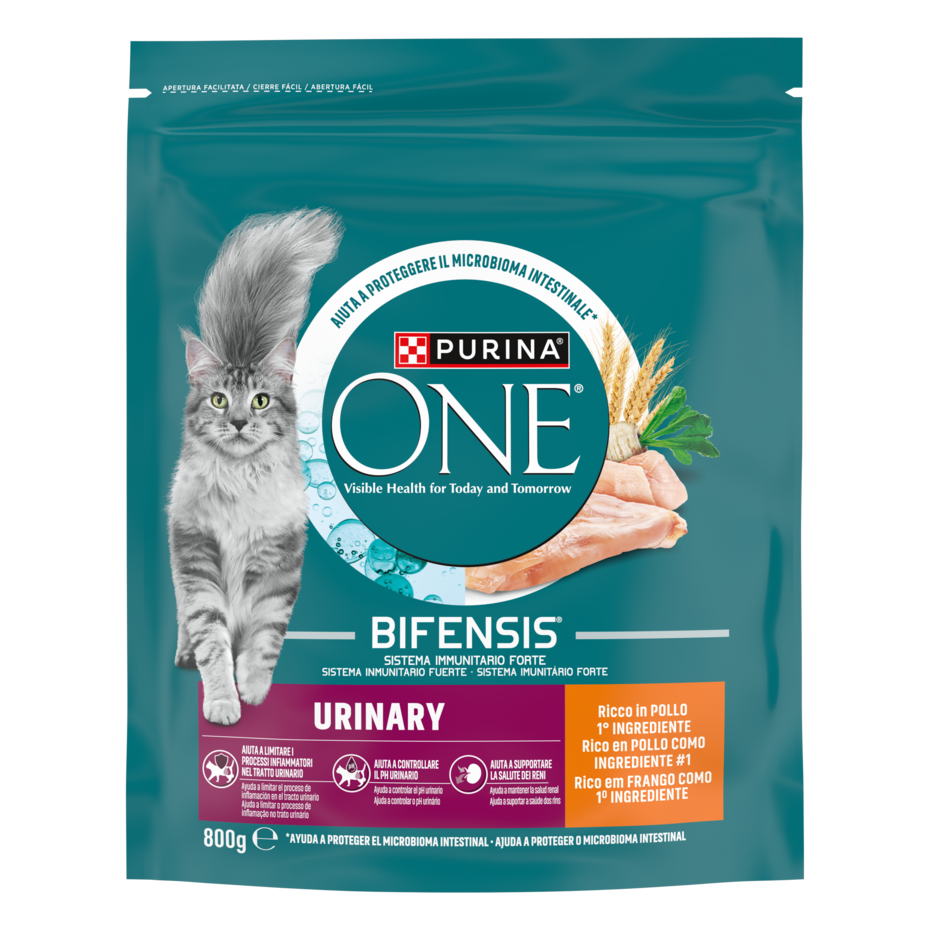 Purina ONE Bifensis Urinary Care 800g Pollo e Frumento