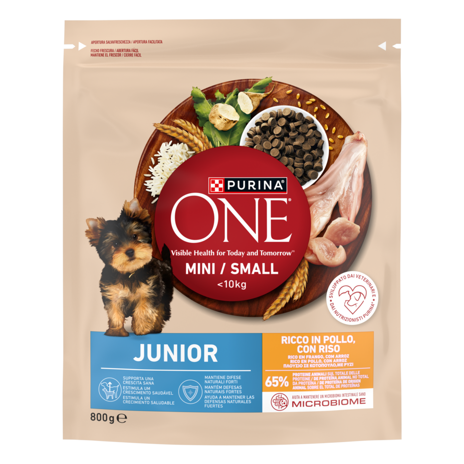 Purina ONE MINI Junior 800g Pollo e Riso