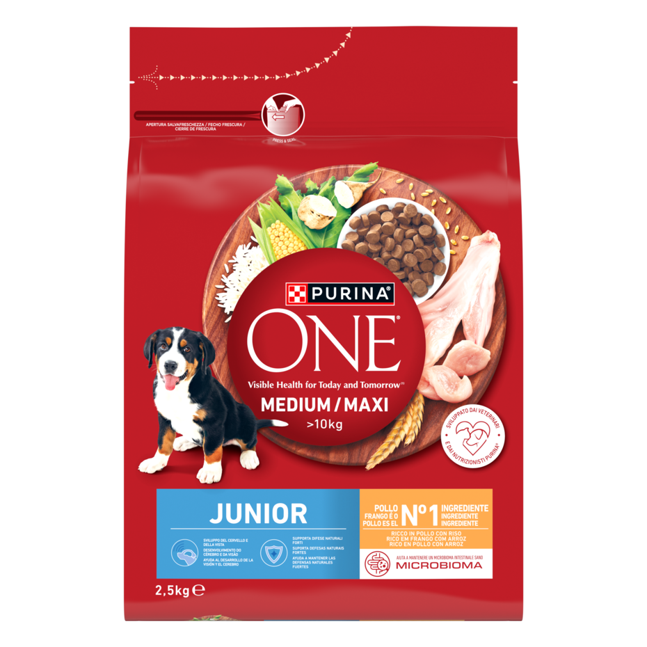 Purina ONE MEDIUM/MAXI Junior 2,5kg Pollo e Riso