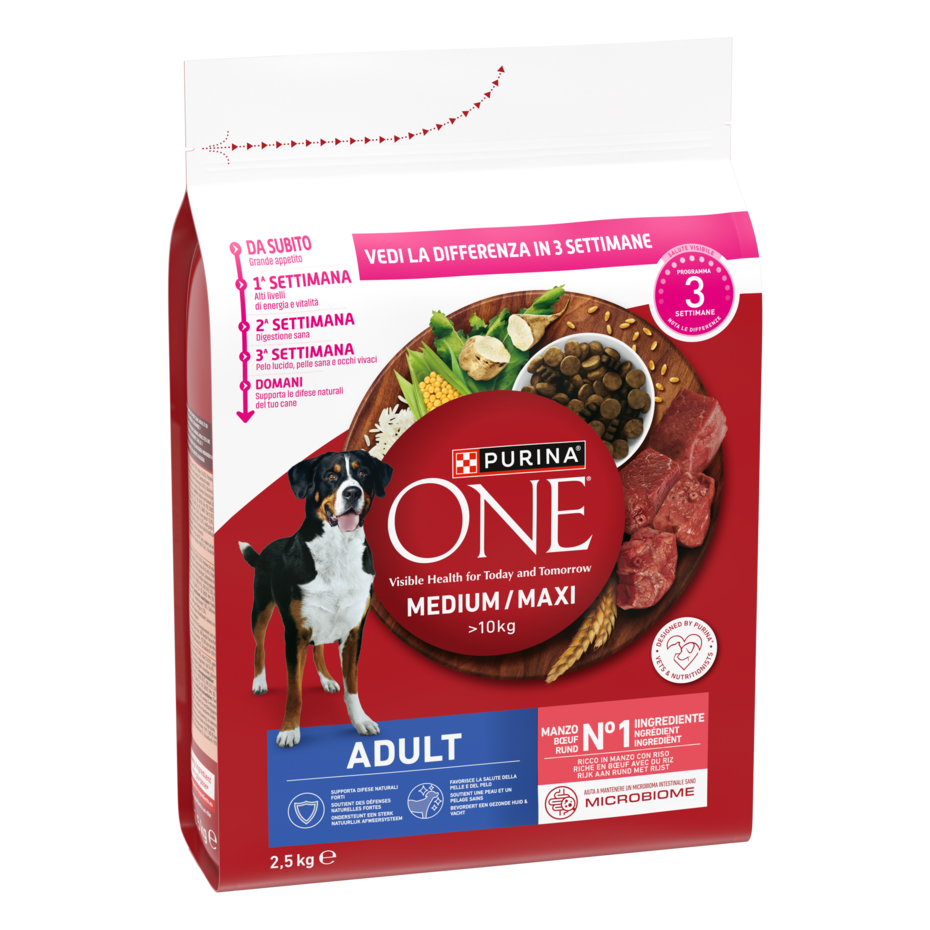Purina ONE MEDIUM/MAXI Adult 2,5kg Manzo e Riso