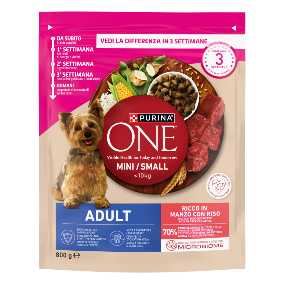 Purina ONE MINI Adult 800g Manzo e Riso