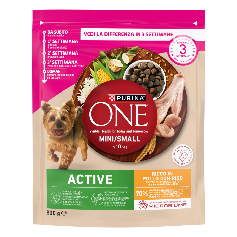 Purina ONE MINI Active 800g Pollo e Riso