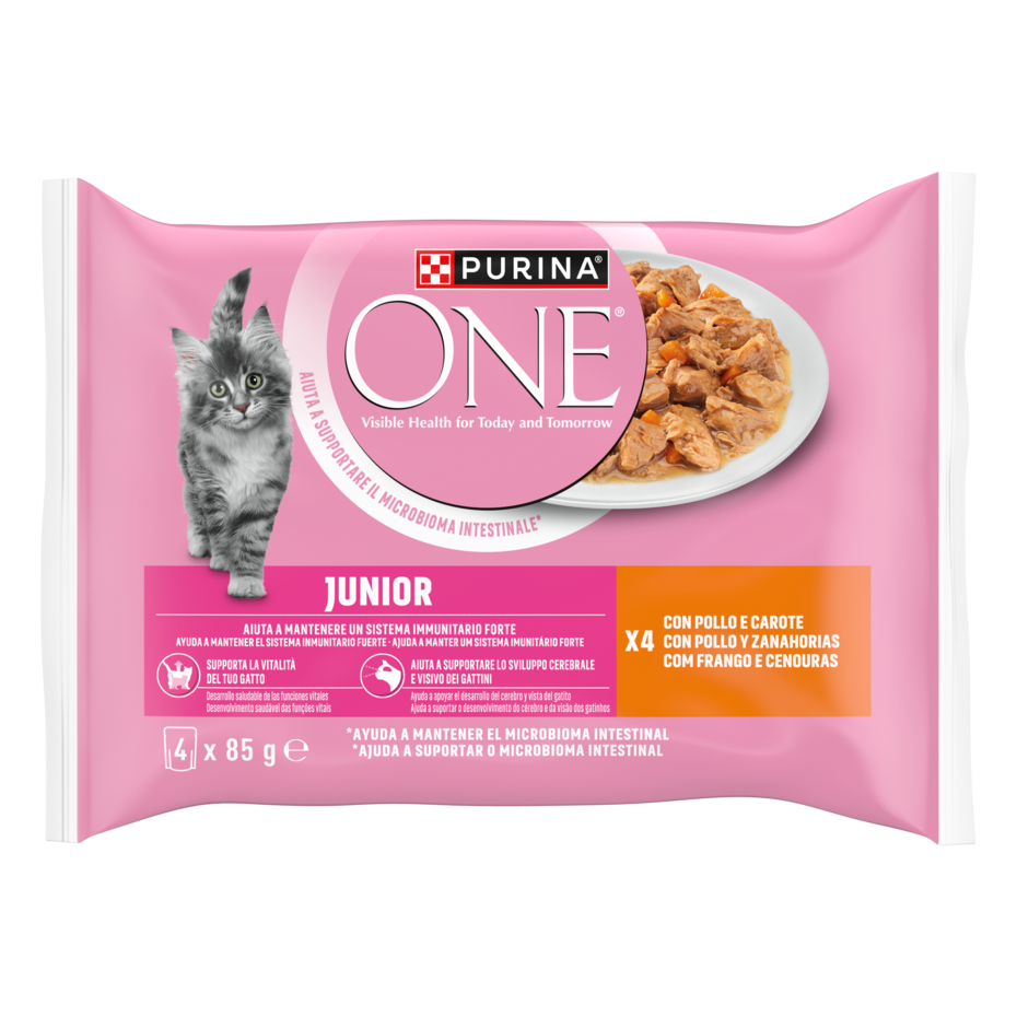 Purina ONE Bifensis Junior 4x85g Pollo