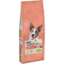 TONUS DOG CHOW Active Cane Crocchette con Pollo