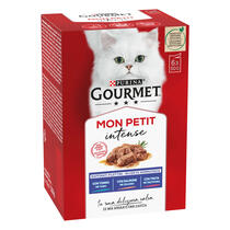 GOURMET Mon Petit  - Invitanti ricette con Pesce ( Tonno, Salmone, Trota)