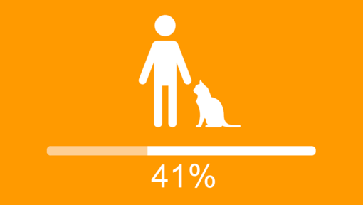 Person and cat infographic