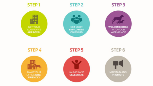 6 steps for Pets at work Alliance infographic