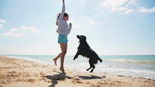 Ragazza e cane nero che saltano su una spiaggia