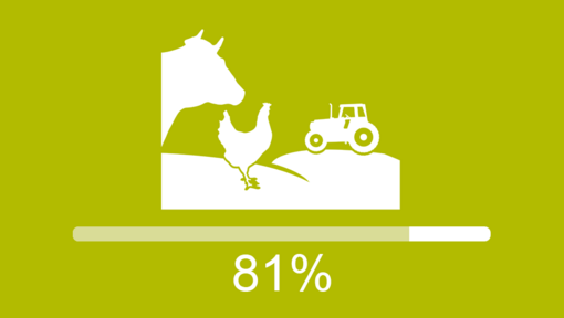 responsible sourcing commitment 81% achieved