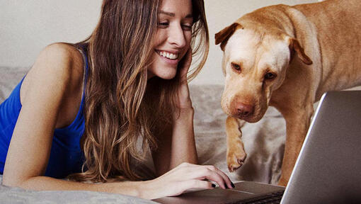 Ragazza che guarda il computer portatile con il suo cane