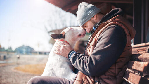 Bull Terrier con il proprietario