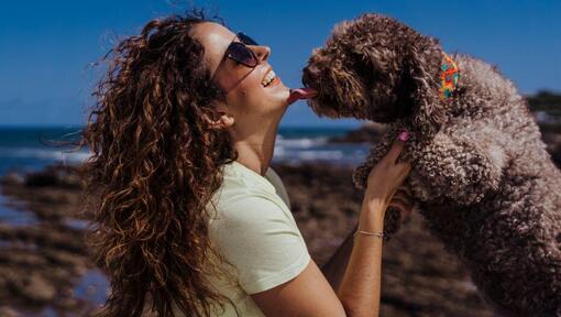 Cane che bacia il suo padrone
