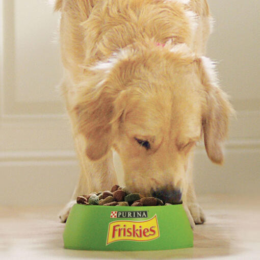 Friskies Dog