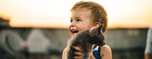 Le malattie dei gatti sono un pericolo i bambini