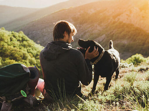 Uomo che fa un'escursione con il cane in colline