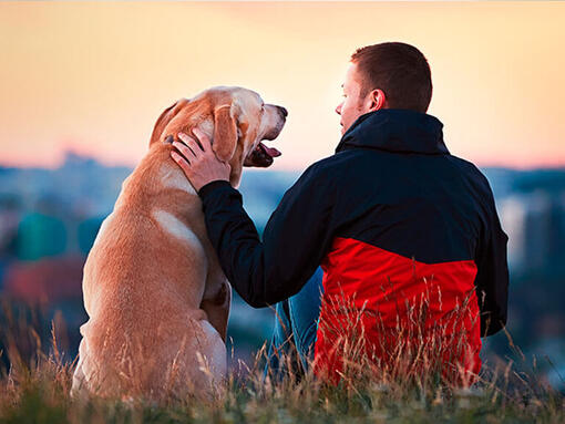 L'uomo seduto fuori con labrador