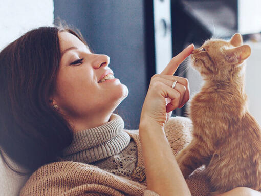 Donna che tocca il naso del gatto dello zenzero