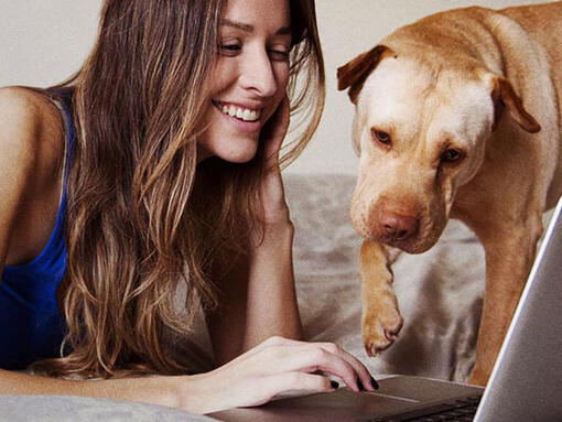 Donna che lavora al computer portatile con labrador