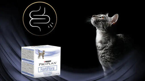 Purina Pro Plan Fortiflora​