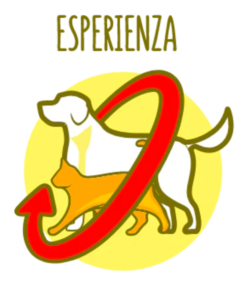 Esperienza