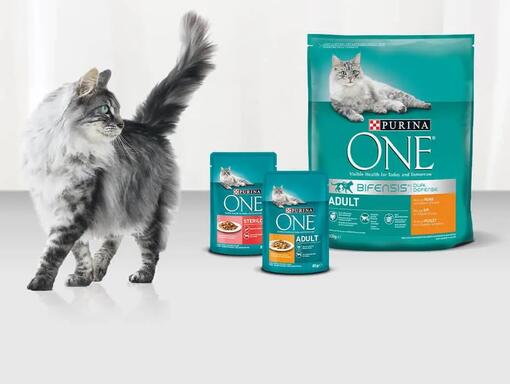 PURINA ONE BIFENSIS