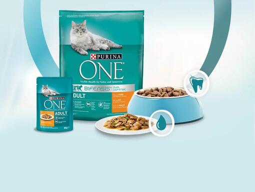 PURINA ONE