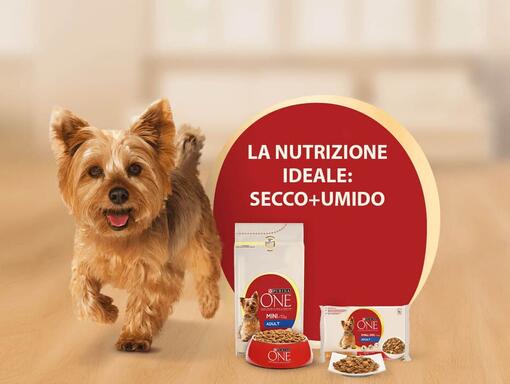 PURINA ONE