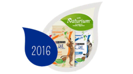 2016 – Sostenere la bellezza naturale dei gatti​