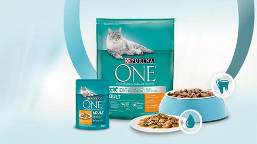 Purina un'innovazione