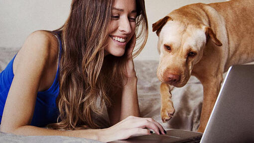 Donna e cane al computer portatile