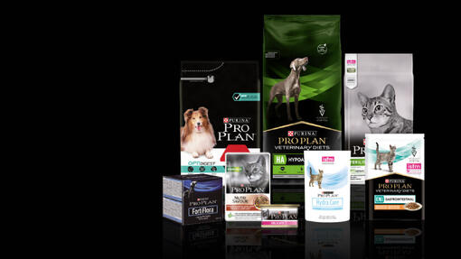Pro Plan fedelta