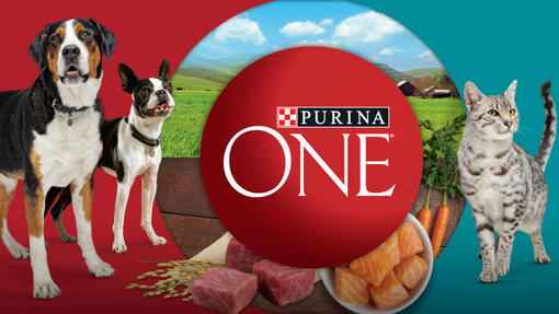 Purina ONE hub
