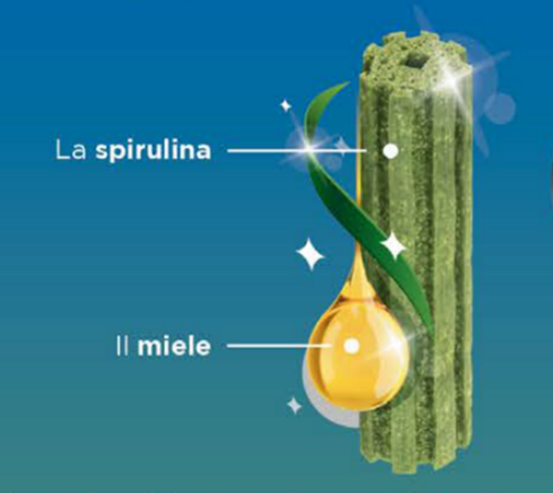 La spirulina