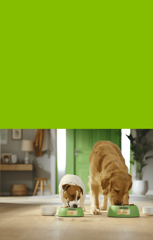 Friskies Purina Croccantini Hundefutter Für Erwachsene Hunde – 15 Kg Sack | Hochwertige Ernährung