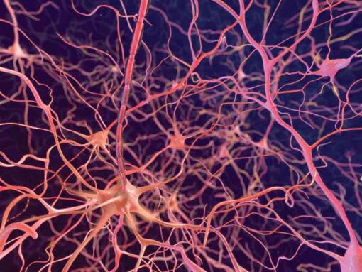 Neuroni su sfondo scuro