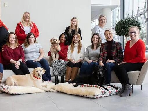 Il team dei servizi di coinvolgimento dei consumatori di Purina