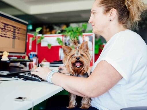 donna con cane in ufficio