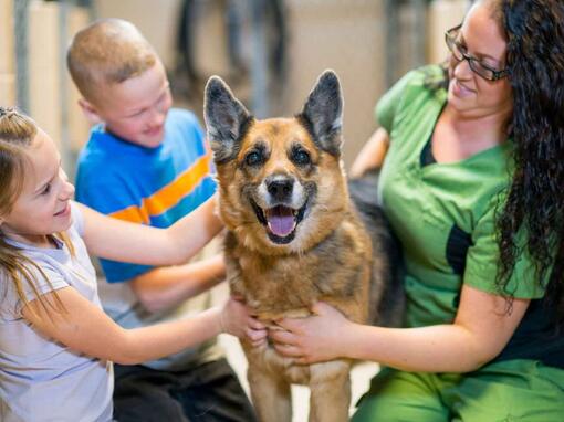 cane abbracciato dalla proprietaria e dai suoi figli
