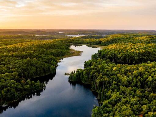 veduta aerea di un paesaggio forestale e fluviale