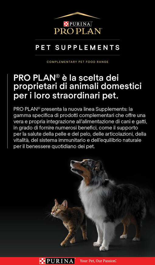 PRO PLAN® è la scelta dei proprietari di animali domestici per i loro straordinari pet.