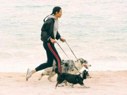 Un uomo e un cane corrono sulla riva