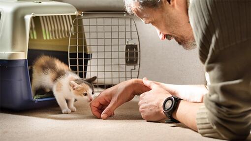 Un uomo con un gatto