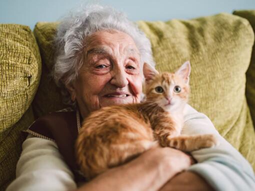 Vecchia con un gatto