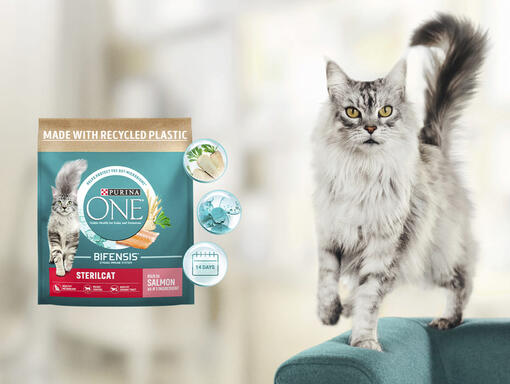 SVILUPPATA DAI VETERINARI E NUTRIZIONISTI Purina ONE®