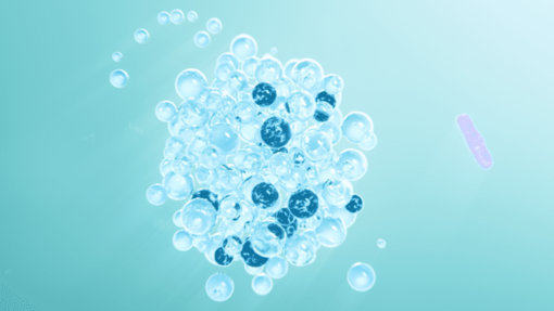Supporto al sistema immunitario grazie ai lactobacilli