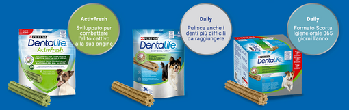 ActivFresh actf 6