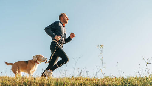 uomo e cane che corrono attraverso il paese